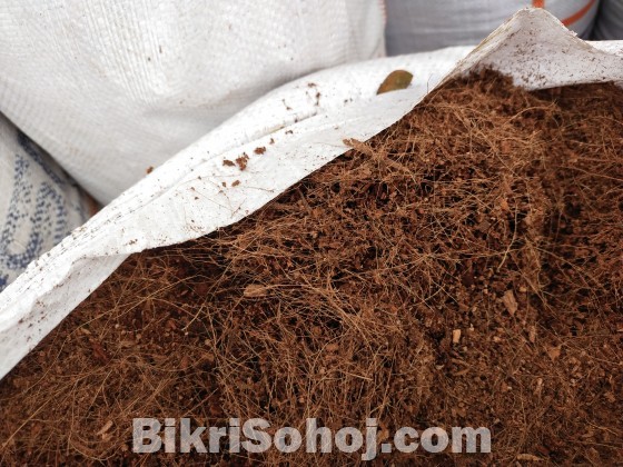 কোকোপিট